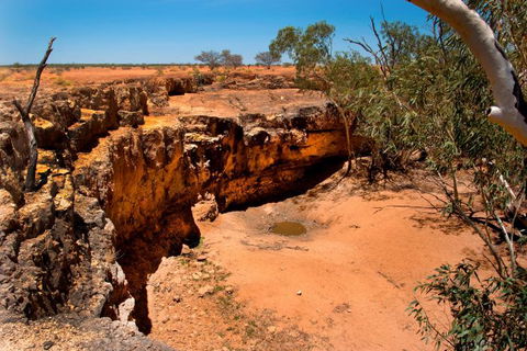 Natural Encounters Trail - Hotel Gold Coast 10