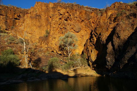 Aussie Heritage Tours - Hotel Gold Coast 7