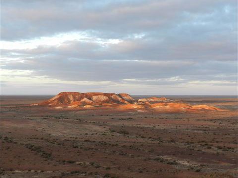 Aussie Heritage Tours - Hotel Gold Coast 19