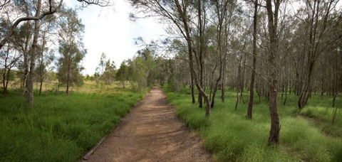 Billai Dhagun Circuit (Place Of She-Oaks) - Hotel Gold Coast 0