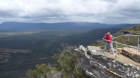 Australian Natural Treasures Touring - Hotel Gold Coast 21