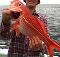 Goin' Off Safaris - Hotel Gold Coast