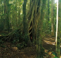 Tullawallal circuit - Hotel Gold Coast