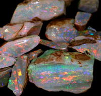 Arid Areas Tours - Hotel Gold Coast