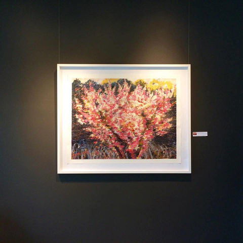 Gallery One - Hotel Gold Coast 1