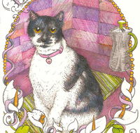 Art Hive Artist - Hotel Gold Coast