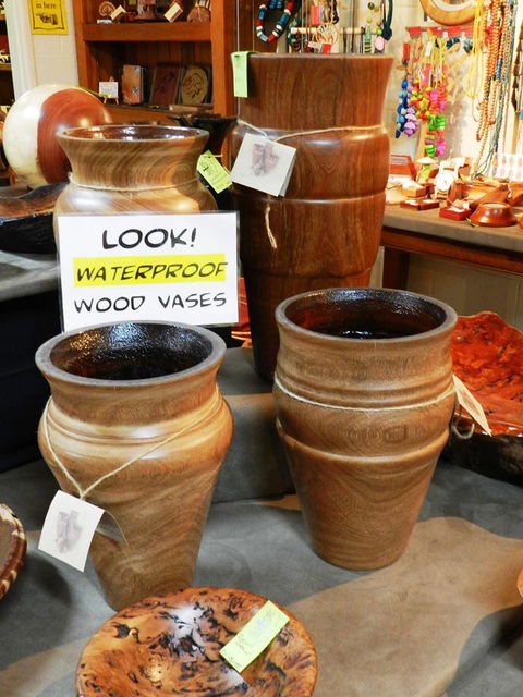 Montville Woods Gallery - Hotel Gold Coast 1