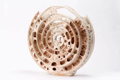 Noosa Regional Gallery - Hotel Gold Coast 0