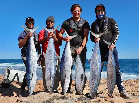 Perth Fishing Safaris - Hotel Gold Coast 1