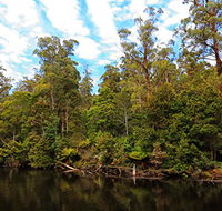 A R Reflections River Cruises - Hotel Gold Coast