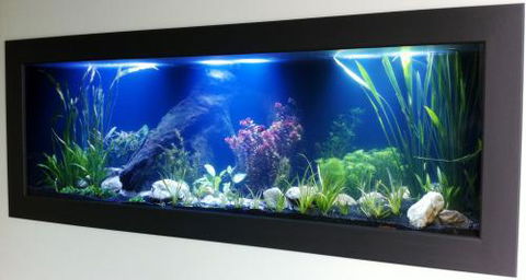Aquariums In Cairns - Hotel Gold Coast 0