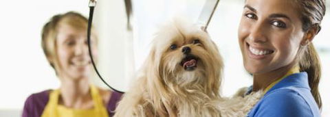 Port Stephens Pet Barn - Hotel Gold Coast 1