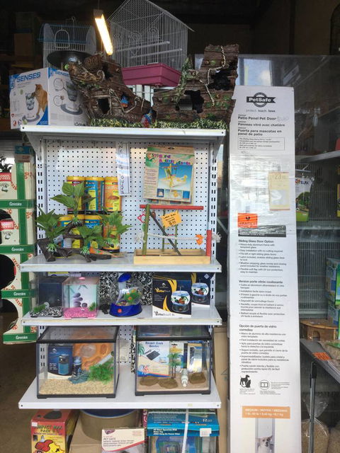 Port Stephens Pet Barn - Hotel Gold Coast 2