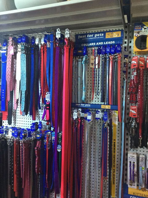 Port Stephens Pet Barn - Hotel Gold Coast 3