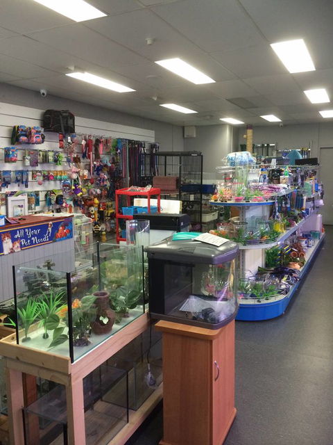 Nambour Pet Shop - Hotel Gold Coast 0