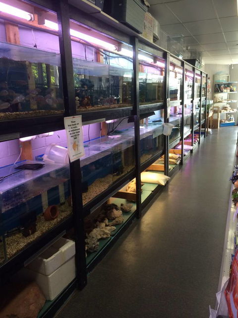 Nambour Pet Shop - Hotel Gold Coast 1