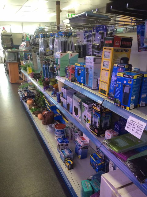 Nambour Pet Shop - Hotel Gold Coast 2