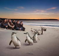 Down Under Thrills - Hotel Gold Coast