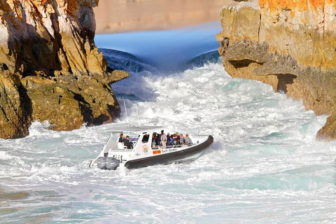 Horizontal Falls Half-Day Tour From Broome - Hotel Gold Coast 2