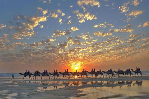 1 Hour Broome Sunset Camel Tour - Hotel Gold Coast 0