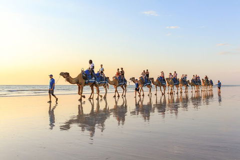 1 Hour Broome Sunset Camel Tour - Hotel Gold Coast 7