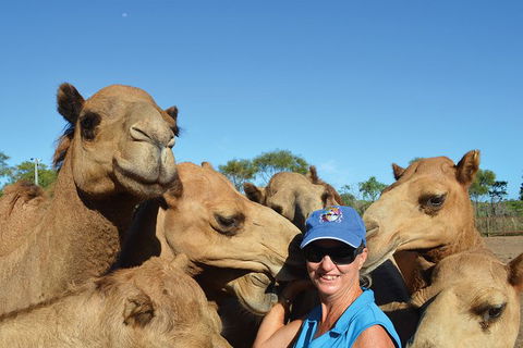 1 Hour Broome Sunset Camel Tour - Hotel Gold Coast 8