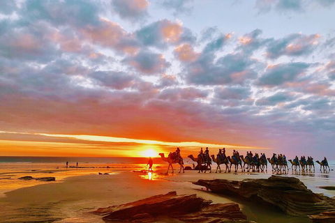 1 Hour Broome Sunset Camel Tour - Hotel Gold Coast 10