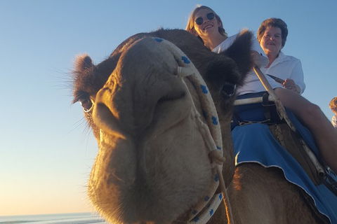 1 Hour Broome Sunset Camel Tour - Hotel Gold Coast 2
