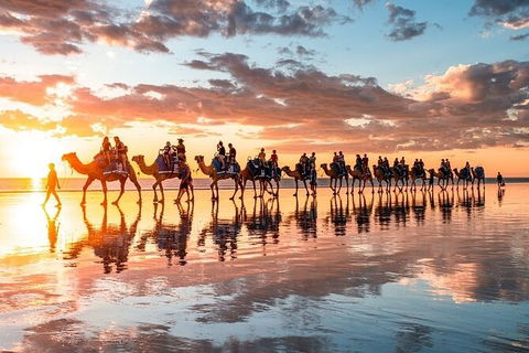 1 Hour Broome Sunset Camel Tour - Hotel Gold Coast 9