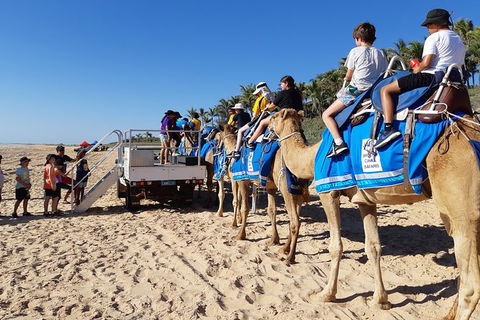 1 Hour Broome Sunset Camel Tour - Hotel Gold Coast 3