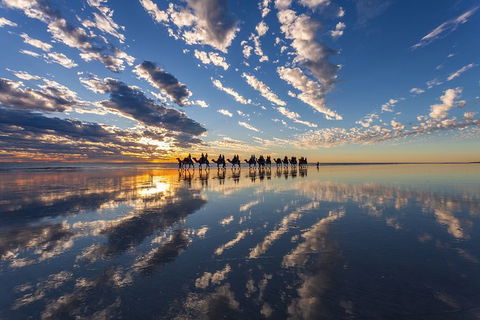 1 Hour Broome Sunset Camel Tour - Hotel Gold Coast 5