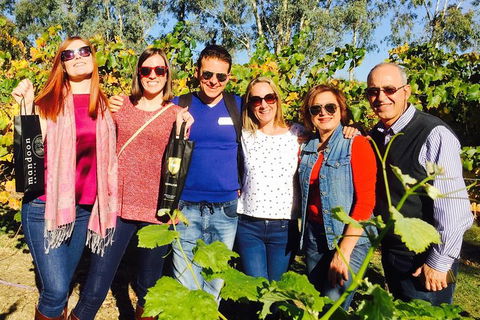 Swan Valley Tour From Perth: Wine, Beer And Chocolate Tastings - Hotel Gold Coast 2