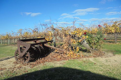 Swan Valley Tour From Perth: Wine, Beer And Chocolate Tastings - Hotel Gold Coast 7