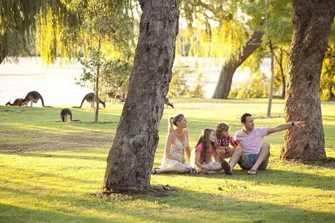 Pinnacles Sunset Dinner And Wildlife Experience A Small Group Tour - Hotel Gold Coast 1