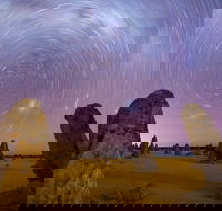 Pinnacles Sunset Dinner and Wildlife Experience a Small Group Tour - Hotel Gold Coast