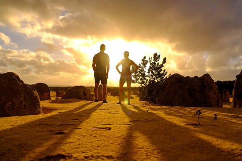 Pinnacles Sunset Dinner And Wildlife Experience A Small Group Tour - Hotel Gold Coast 7