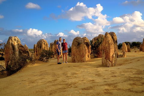 Pinnacles Sunset Dinner And Wildlife Experience A Small Group Tour - Hotel Gold Coast 8