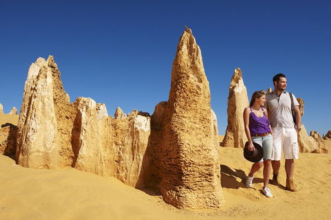 Pinnacles Sunset Dinner And Wildlife Experience A Small Group Tour - Hotel Gold Coast 5
