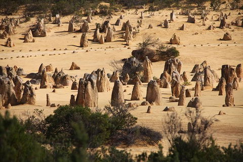 Pinnacles Sunset Dinner And Wildlife Experience A Small Group Tour - Hotel Gold Coast 9