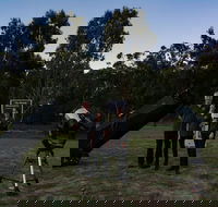 Stargazing Busselton with Mobile Observatory - Hotel Gold Coast