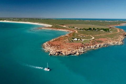 Snubfin Dolphin Eco Cruise From Broome - Hotel Gold Coast 7
