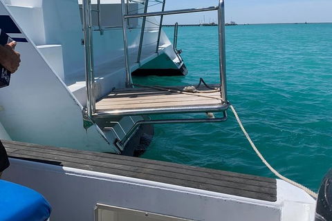 Snubfin Dolphin Eco Cruise From Broome - Hotel Gold Coast 15