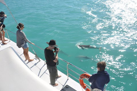 Snubfin Dolphin Eco Cruise From Broome - Hotel Gold Coast 4