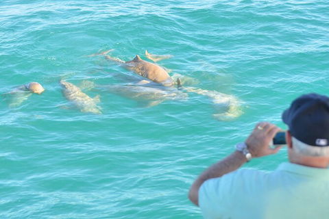 Snubfin Dolphin Eco Cruise From Broome - Hotel Gold Coast 3