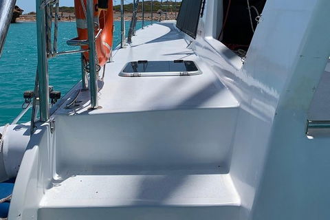 Snubfin Dolphin Eco Cruise From Broome - Hotel Gold Coast 13