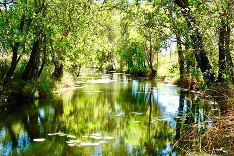 Gorgeous Gorges Tour - Windjana & Bell Gorge, Mt Hart, Cape Leveque - Hotel Gold Coast 8