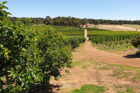 Half-Day Swan Valley Walk & Fruit Orchard - Hotel Gold Coast 7
