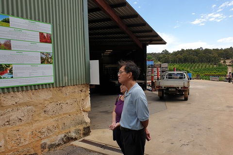 Half-Day Swan Valley Walk & Fruit Orchard - Hotel Gold Coast 4