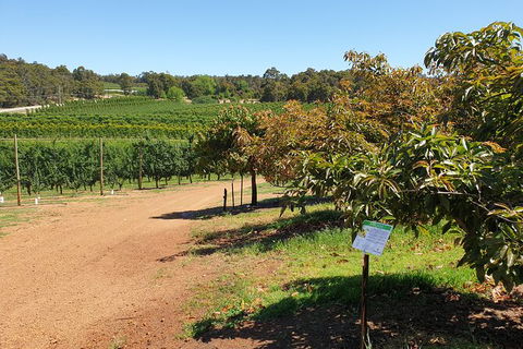 Half-Day Swan Valley Walk & Fruit Orchard - Hotel Gold Coast 8