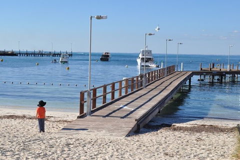 Monkey Mia Dolphins & Shark Bay Air Tour From Perth - Hotel Gold Coast 10